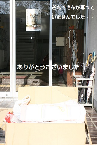 【犬・移動先募集】センター(支所)収容(12/16訪問)_f0242002_22181640.jpg