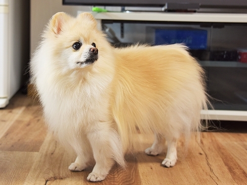 現行犯_d0360206_23513009.jpg