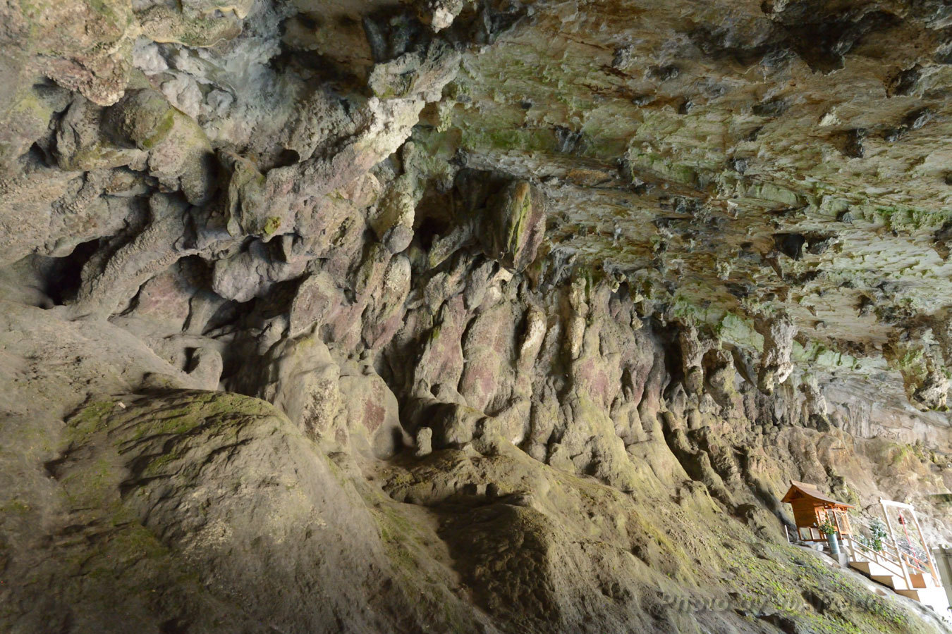 e0183106_20203905.jpg