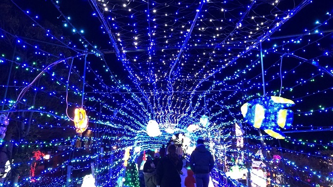 f0364707_23553588.jpg