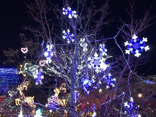 f0364707_23564849.jpg