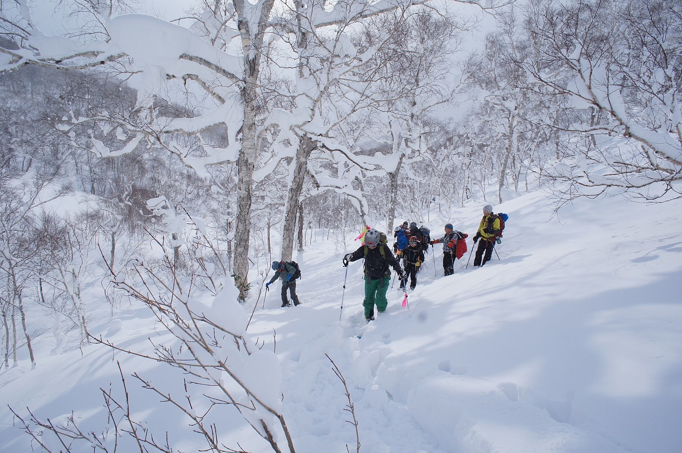 チセヌプリ山麓に戯れる✮途中撤退✮2017.12.17_a0248508_20011309.jpg