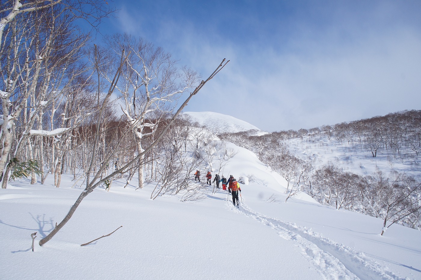 チセヌプリ山麓に戯れる✮途中撤退✮2017.12.17_a0248508_20015337.jpg