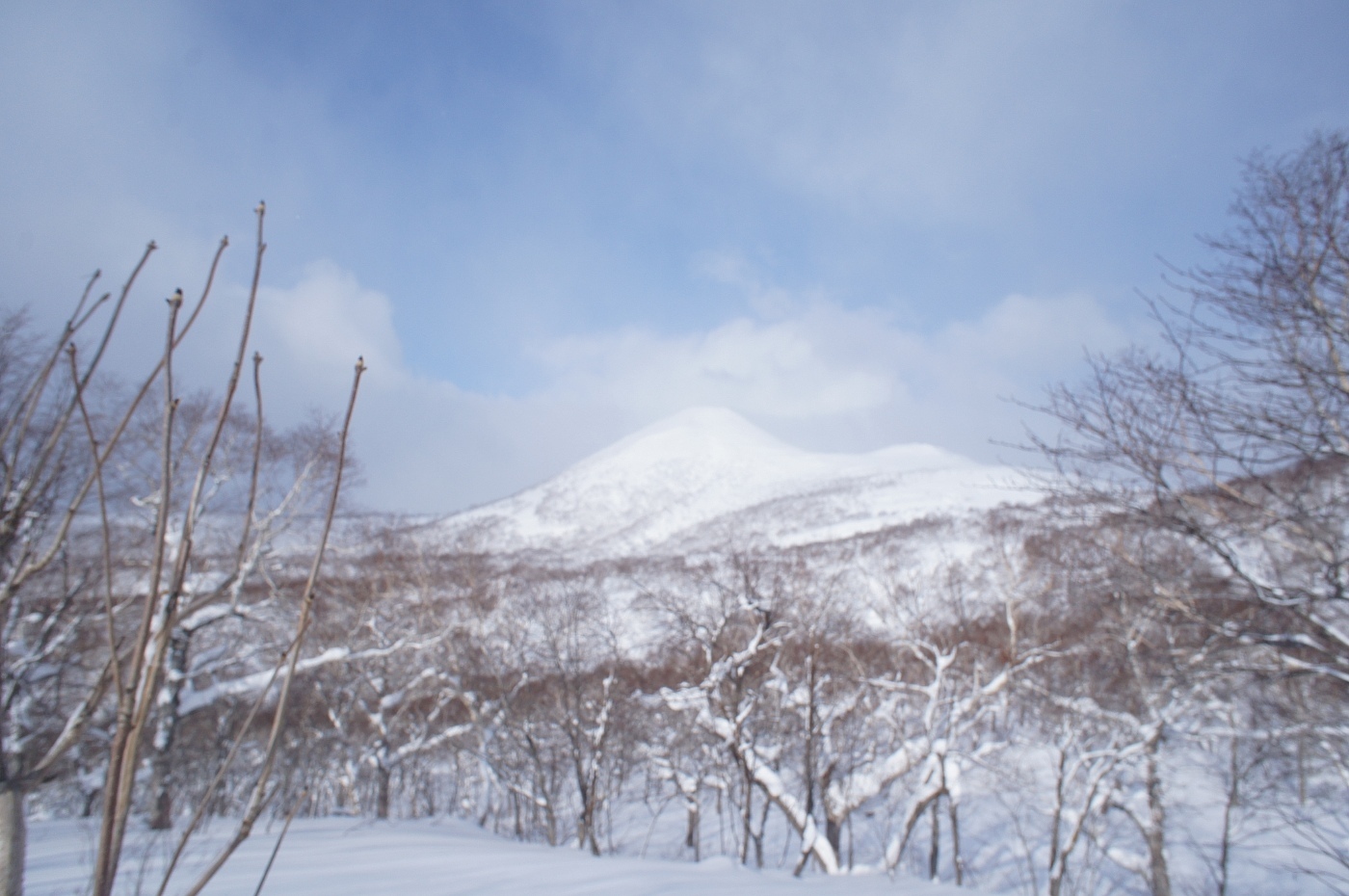 チセヌプリ山麓に戯れる✮途中撤退✮2017.12.17_a0248508_20020921.jpg