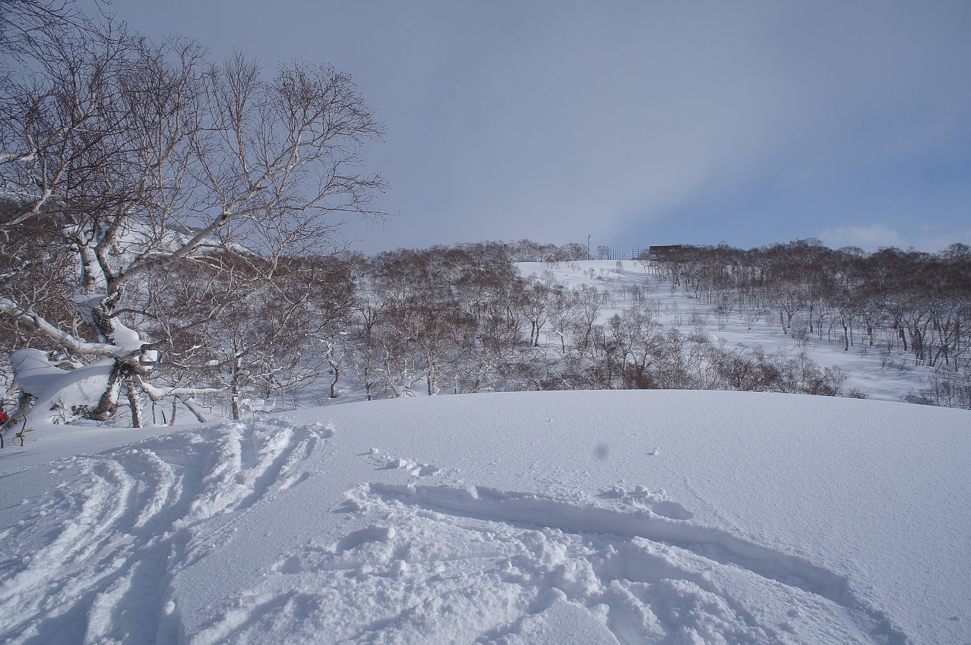 チセヌプリ山麓に戯れる✮途中撤退✮2017.12.17_a0248508_20025378.jpg