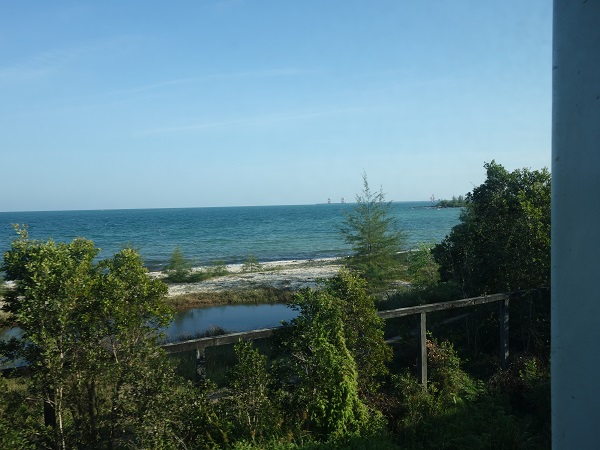 d0360509_23335760.jpg