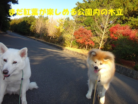 葛西臨海公園散歩♪_f0121712_13535330.jpg