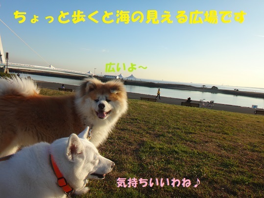 葛西臨海公園散歩♪_f0121712_14035221.jpg