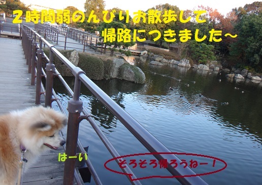 葛西臨海公園散歩♪_f0121712_14391110.jpg