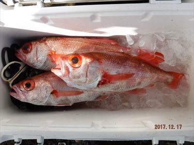 アカムツ_f0031613_16494616.jpg