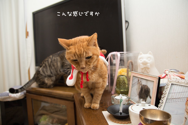 カレンダー送り状秘話。_d0355333_17385636.jpg