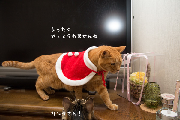 カレンダー送り状秘話。_d0355333_17385926.jpg