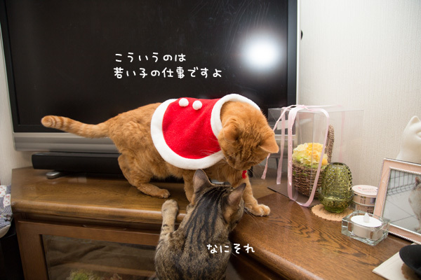カレンダー送り状秘話。_d0355333_17390114.jpg