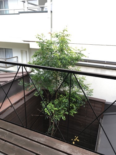 f0068334_14222312.jpg