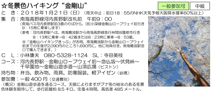 e0371039_2247545.png