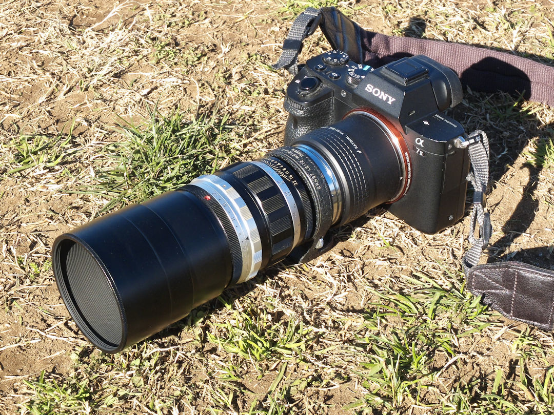 Leica テリート 200mm F4 (ビゾフレックス用レンズ) 試撮 : saruyamaの