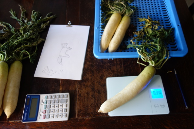 うちの常備菜はお漬物_d0101846_15594101.jpeg