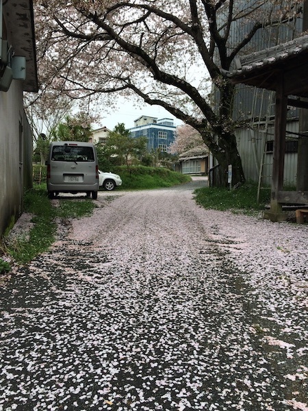 a0216583_00323968.jpg