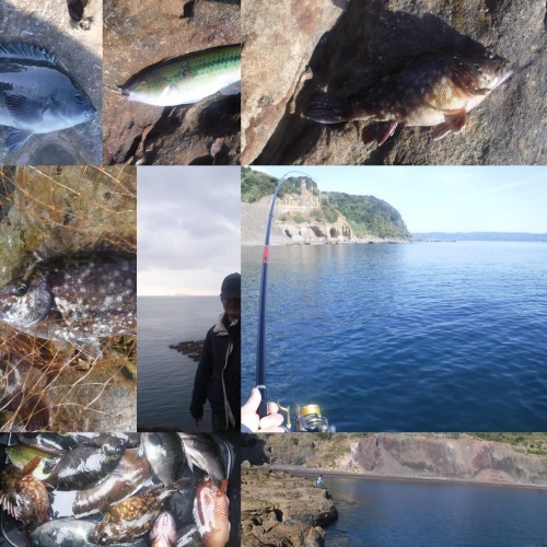 魚を捌く_d0195183_00172287.jpeg