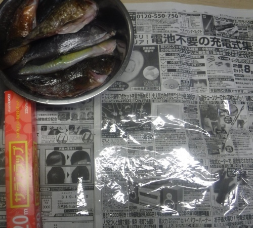 魚を捌く_d0195183_00184408.jpeg