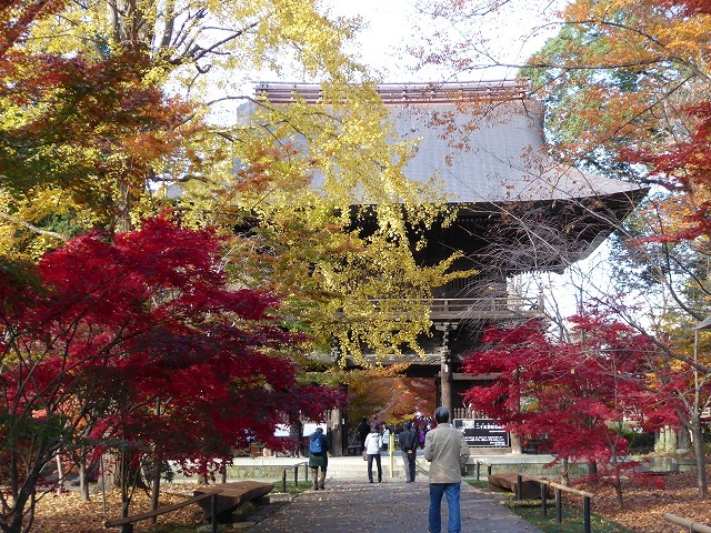 b0287088_21195748.jpg
