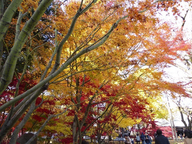 b0287088_21210548.jpg