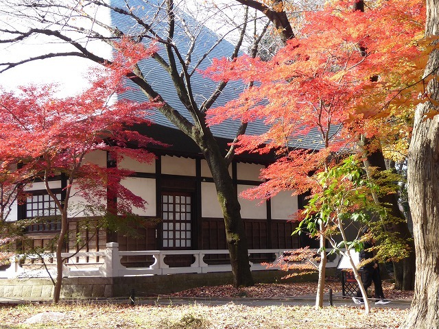 b0287088_21251126.jpg