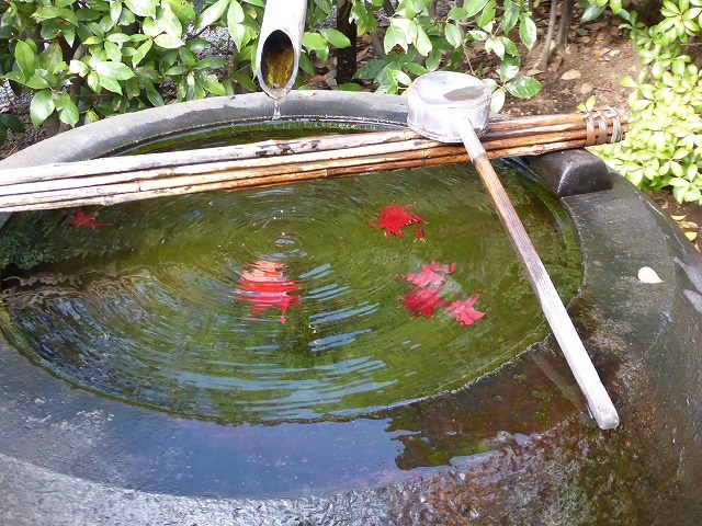 b0287088_21272040.jpg