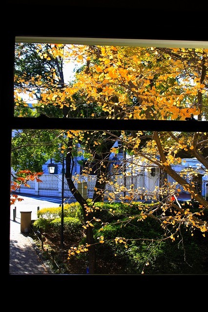 f0374092_01235078.jpg