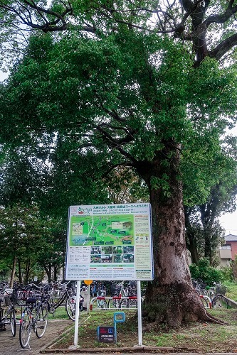 e0176993_07363620.jpg