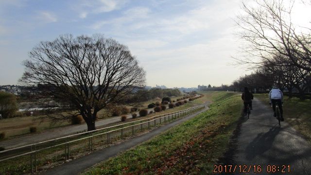 c0133096_20232289.jpg