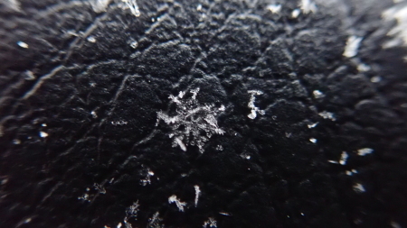 雪の結晶_e0120896_07564526.jpg