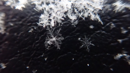雪の結晶_e0120896_08000650.jpg