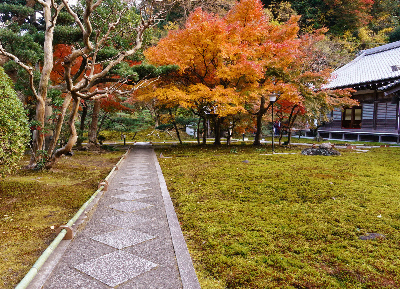 長寿寺の紅葉_b0145398_22311135.jpg