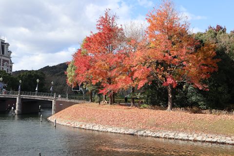 c0090198_18542730.jpg