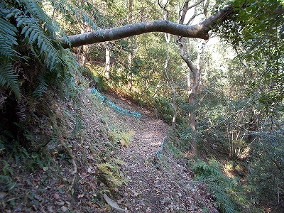 f0308898_19114037.jpg