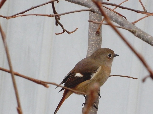 e0025300_22385687.jpg