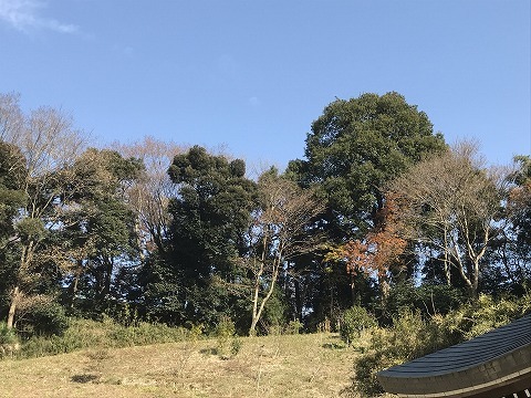 e0270403_10234654.jpg