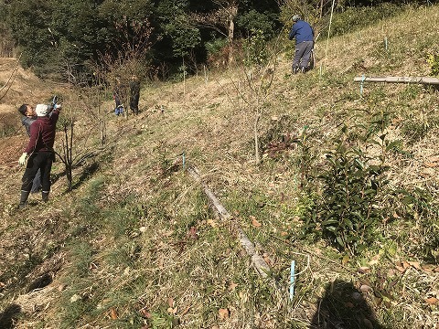 e0270403_10240722.jpg