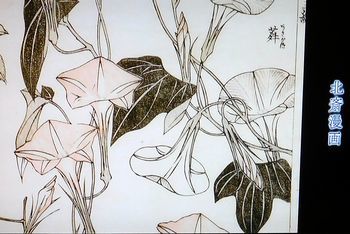 HOKUSAIの衝撃～ジャポニスム～＠日曜美術館　2017/12/17_b0044404_16555504.jpg