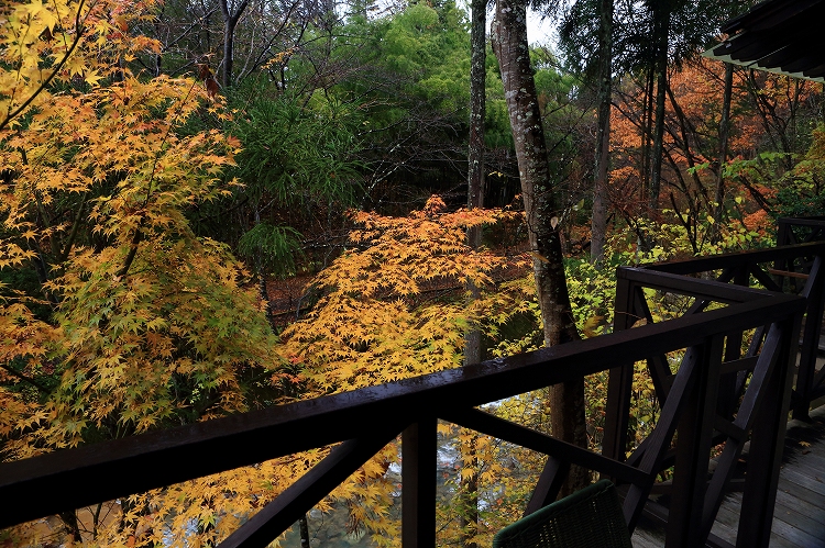 仙仁温泉岩の湯の紅葉　４_f0368904_6451962.jpg