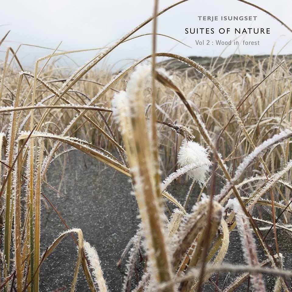 Terje Isungset ニュー・アルバム \"Suites of Nature\"_e0081206_14425081.jpg