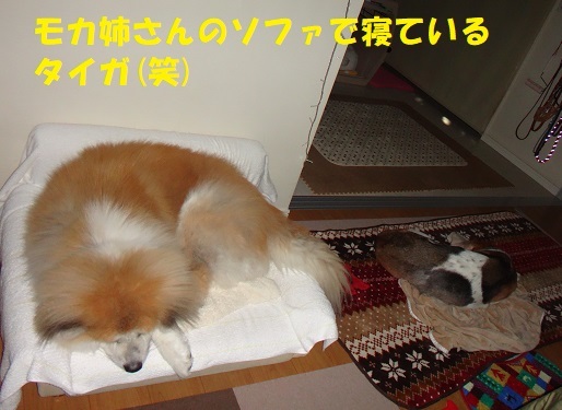 f0121712_14413701.jpg