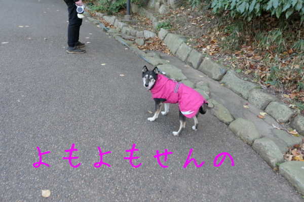 f0369014_13372627.jpg