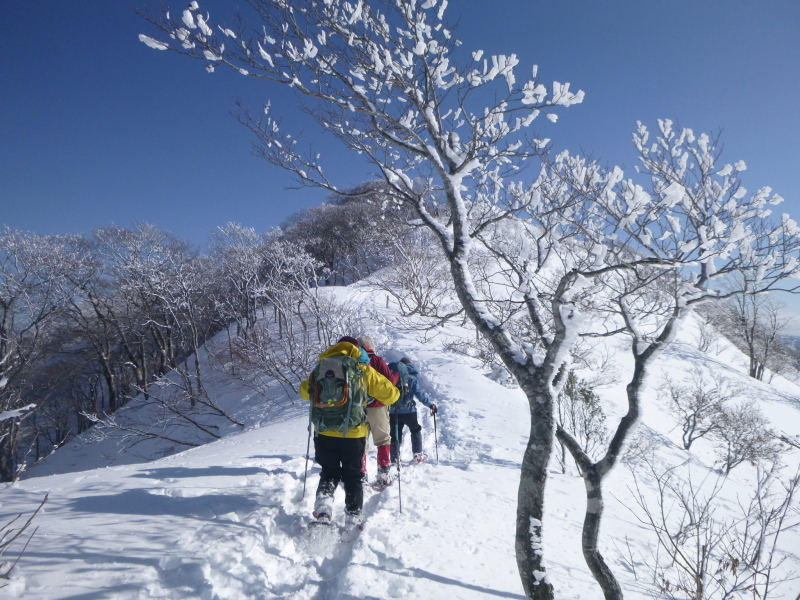 雪の大日ｹ岳(1708.9M)   下山 編_d0170615_19021350.jpg