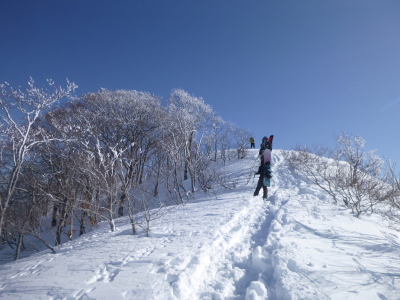 雪の大日ｹ岳(1708.9M)   下山 編_d0170615_19022016.jpg