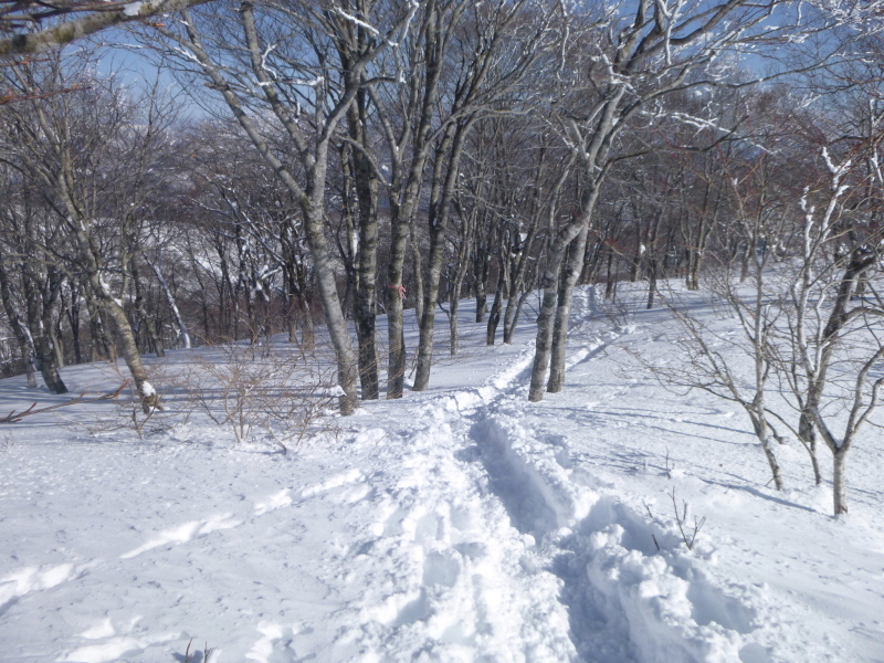 雪の大日ｹ岳(1708.9M)   下山 編_d0170615_20090772.jpg