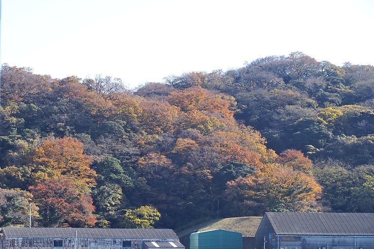 横須賀軍港めぐり（１２月７日）_e0067925_13185689.jpg