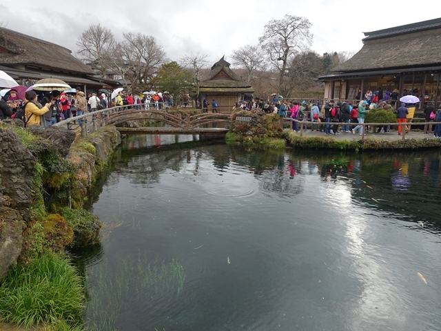 d0284727_15522252.jpg