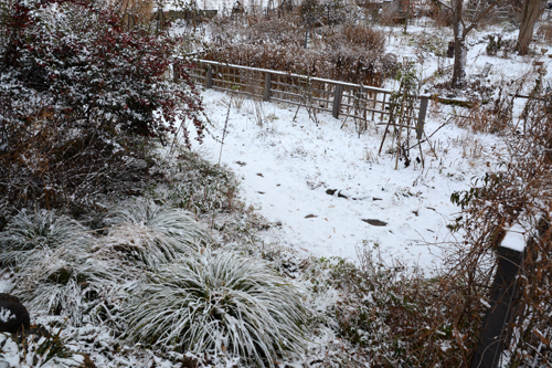 c0107129_23137.jpg